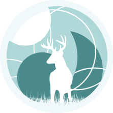 Big Buck Research & Analytics